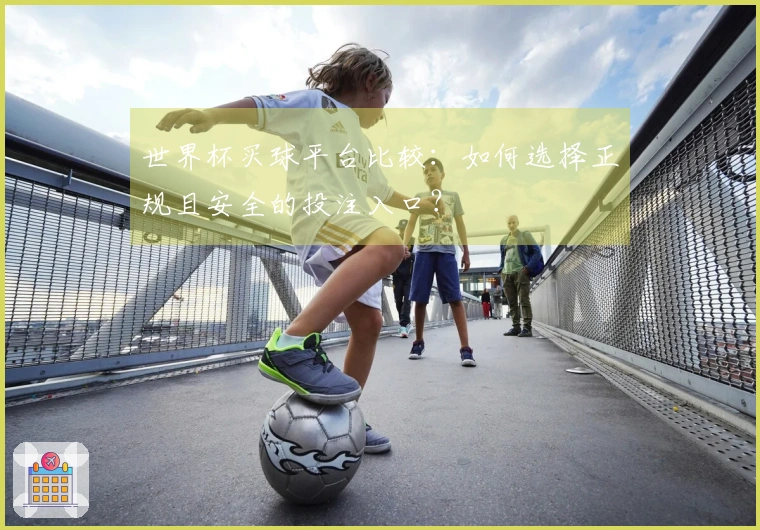 世界杯买球平台比较：如何选择正规且安全的投注入口？
