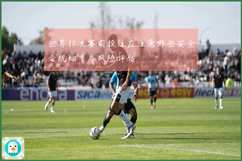世界杯决赛前投注应注意哪些安全合规细节与风险评估