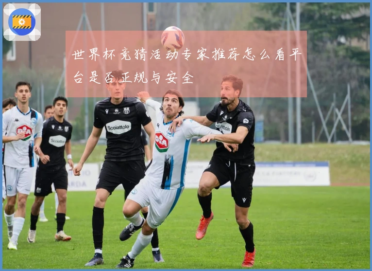 世界杯竞猜活动专家推荐怎么看平台是否正规与安全
