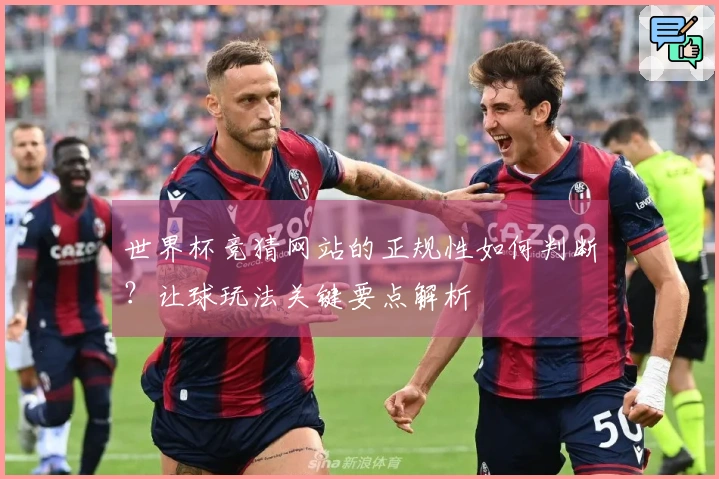 世界杯竞猜网站的正规性如何判断？让球玩法关键要点解析